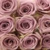 Purple Moon — изображение 3